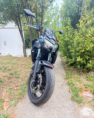 Kawasaki Z650 del 2021