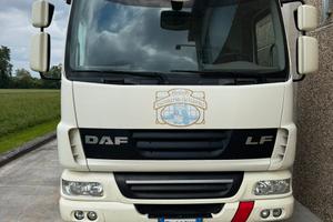 Autocarro Daf LF 45.220 frigo