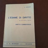 L'esame di diritto commerciale  - Bignami 