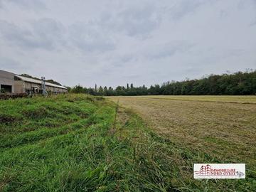 Terreno di 6000 m² a Arluno