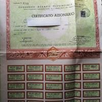 Certificati azionari e assicurativi