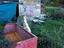 Immagine 20