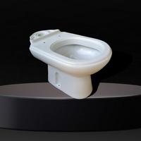 Gabinetto tazza water WC cesso toilette bagno 