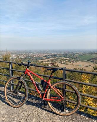 MTB KTM CHICAGO291