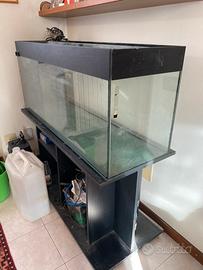 Acquario 250 lt + filtro incluso