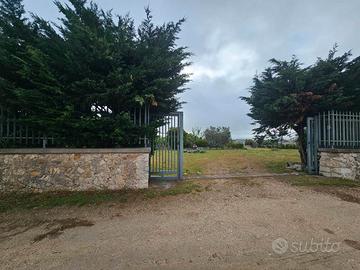 Terreno ideale per deposito BA003776