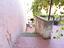 Immagine 15