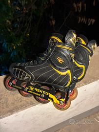 Pattini a rotelle professionali