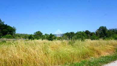 TER. AGRICOLO A MONTECORVINO ROVELLA