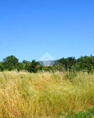 TER. AGRICOLO A MONTECORVINO ROVELLA