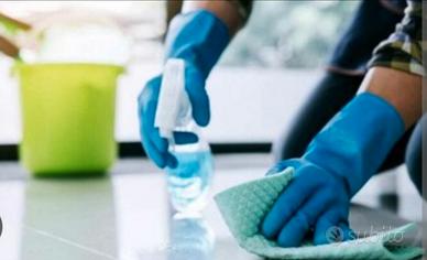 Signora delle pulizie