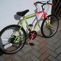 Mountain Bike 24"