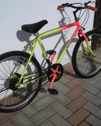 Mountain Bike 24"