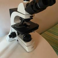 Microscopio Optika b500Ti