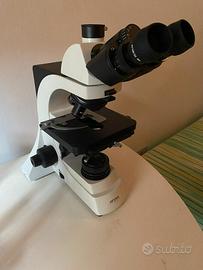 Microscopio Optika b500Ti