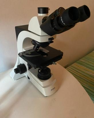 Microscopio Optika b500Ti