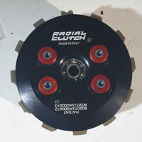 Frizione Antisaltellamento Radial Clutch