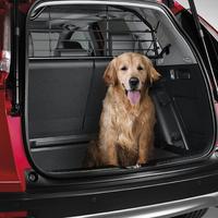 Honda C-rv  2019 serie 5