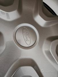 Cerchi ford fiesta