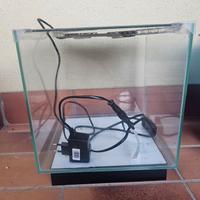 Acquario Newa