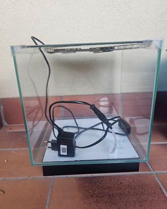 Acquario Newa