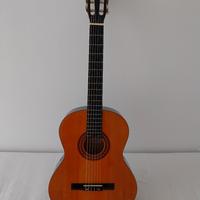 chitarra Meimei CK391 con custodia