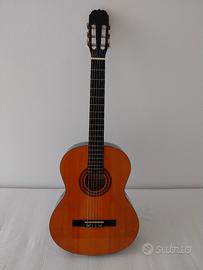 chitarra Meimei CK391 con custodia