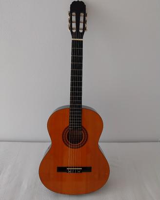 chitarra Meimei CK391 con custodia