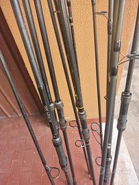 canne da carpfishing 