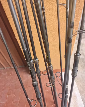 canne da carpfishing 