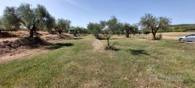 TER. RESIDENZIALE A CROTONE