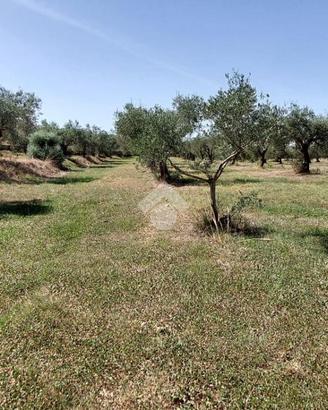 TER. RESIDENZIALE A CROTONE