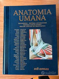 Anatomia Umana Anstasi