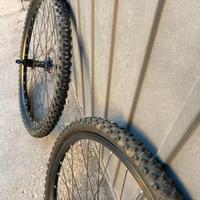 Coppia di cerchi e gomme