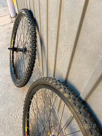 Coppia di cerchi e gomme