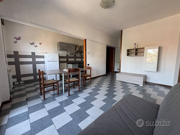 Appartamento di 78 m² con 3 locali a Badia Polesin