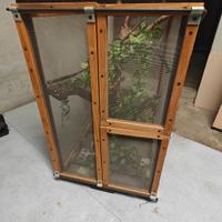 terraio per camaleonte