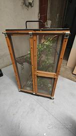 terraio per camaleonte