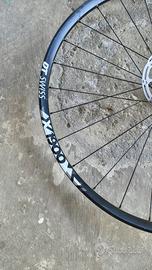 Coppia di Cerchi MTB 29 DT SWISS 