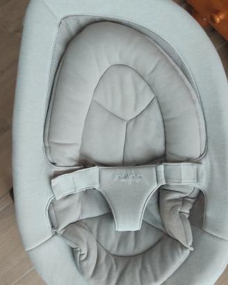 sdraietta nuna leaf grow