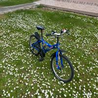 Bicicletta bambino 6-10 anni blu