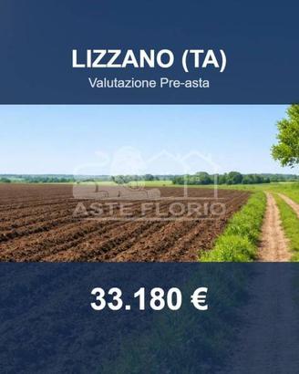 Immobile in asta di 27829 m² a Lizzano