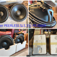 Altoparlanti Woofer Mid Seas Peerless