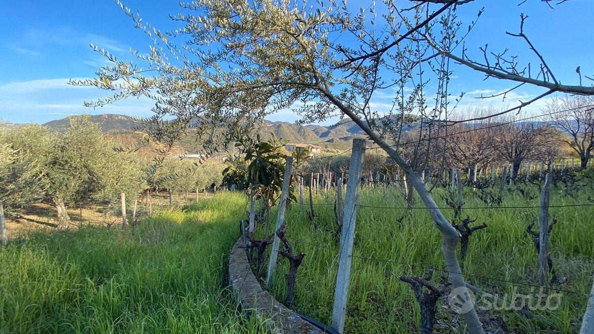Terreno Agricolo Patti [P863VRG] - Vista 5