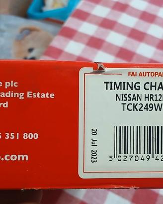 Catena distruzione nissan