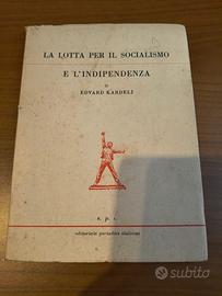 La lotta per il socialismo e l'indipendenza 