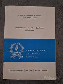 GeologiaMessina Siracusa Coste  Sedimenti SICILIA