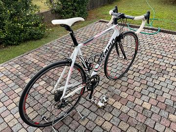 Bici da corsa bdc Olimpia