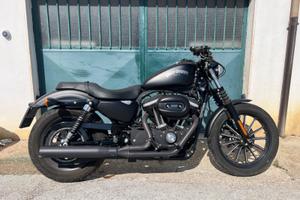 Harley Iron 883 2011  8500 km Perfetta