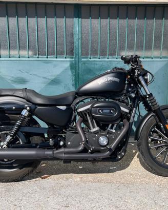 Harley Iron 883 2011  8500 km Perfetta